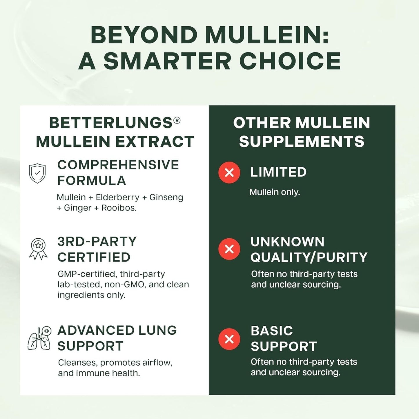 Mullein + Chlorophyll