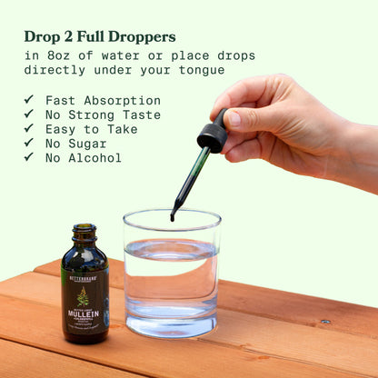 Mullein + Chlorophyll